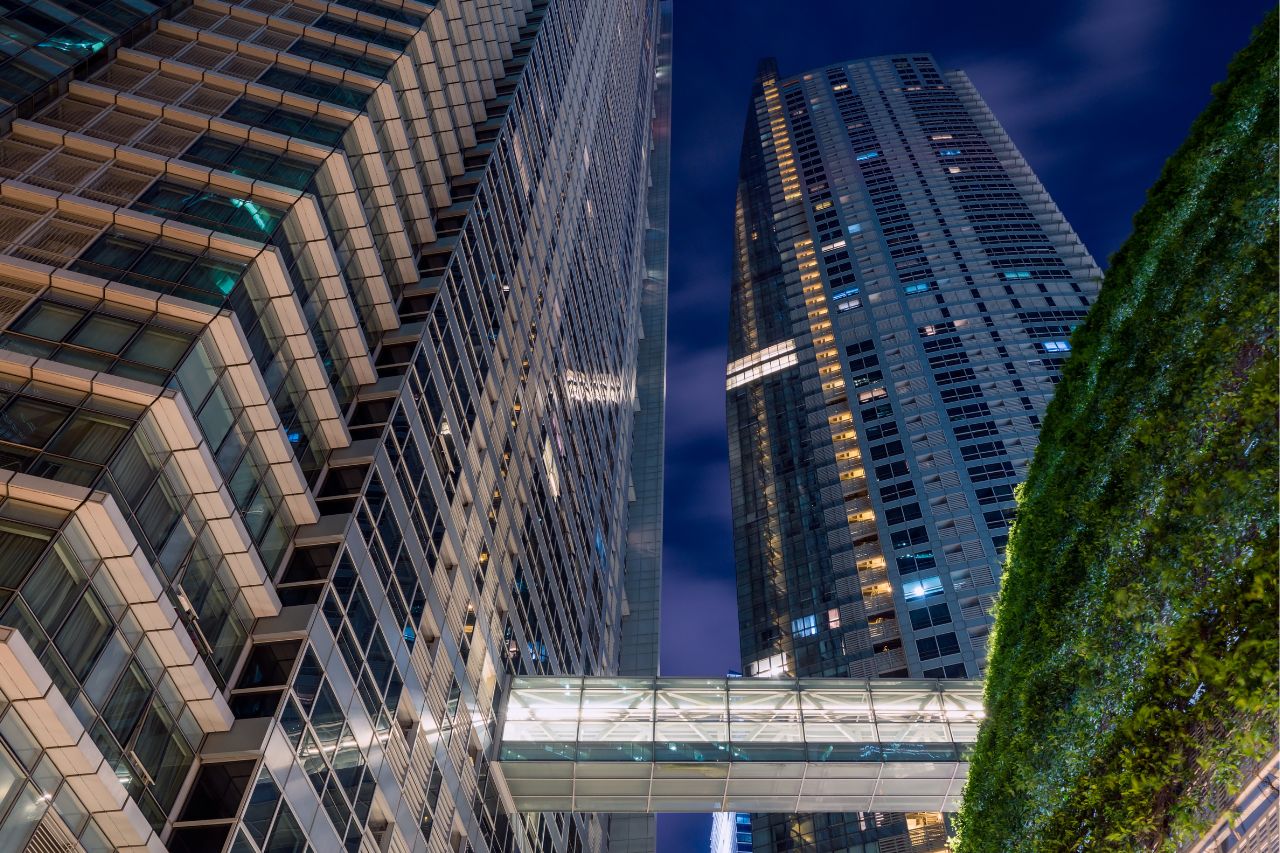 Hacia un futuro verde: Bi Bank Panamá aúna esfuerzos en el camino hacia la sostenibilidad