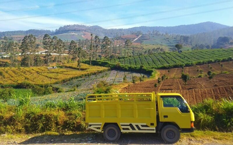 Descubre las mejores estrategias para optimizar rutas de transporte en Perú