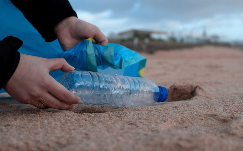 ¿Cómo comprobar afirmaciones de calidad, sostenibilidad o “compromiso social” en empresas líderes?